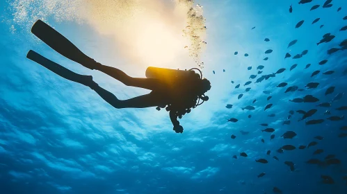 Underwater Scuba Diving Scene