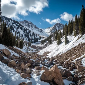 Winter Mountain Scene with Evergreen Trees