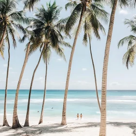 Tropical Beach Getaway with Palm Trees