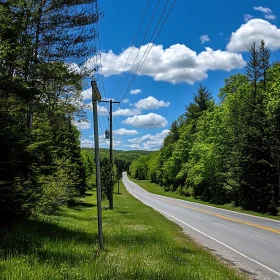 Lush Green Landscape Road