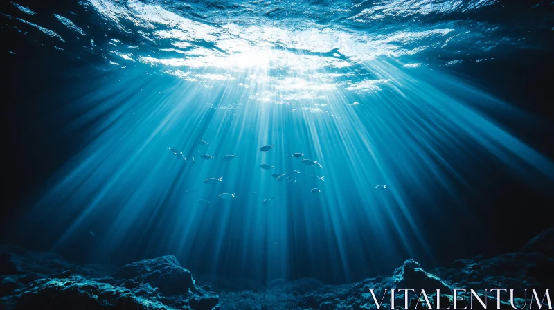 Underwater Sunlight and Fish AI Image