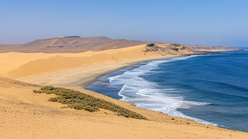 Sandy Coastline Landscape