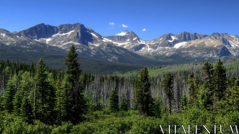 Mountain Landscape with Snow and Trees AI Image