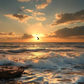 Seascape at Sunset with Bird Silhouette