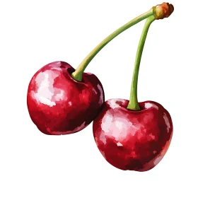 Pair of Cherries Still Life