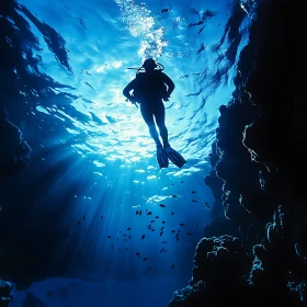 Sunlight and Scuba Diver