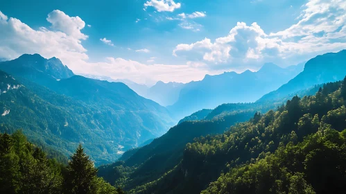 Scenic Mountains and Forest Landscape