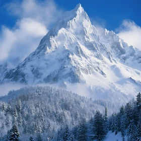 Winter Mountain Scene with Forest