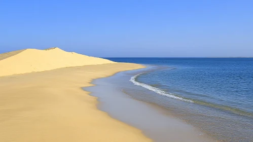 Coastal Sand Dunes