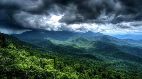 Lush Forest Under Ominous Clouds