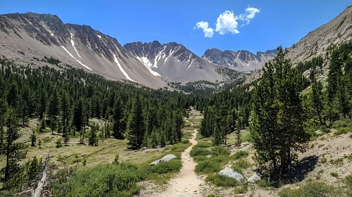 Mountain Valley Hiking Path
