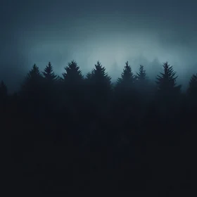 Mysterious Forest Silhouettes in the Night Mist