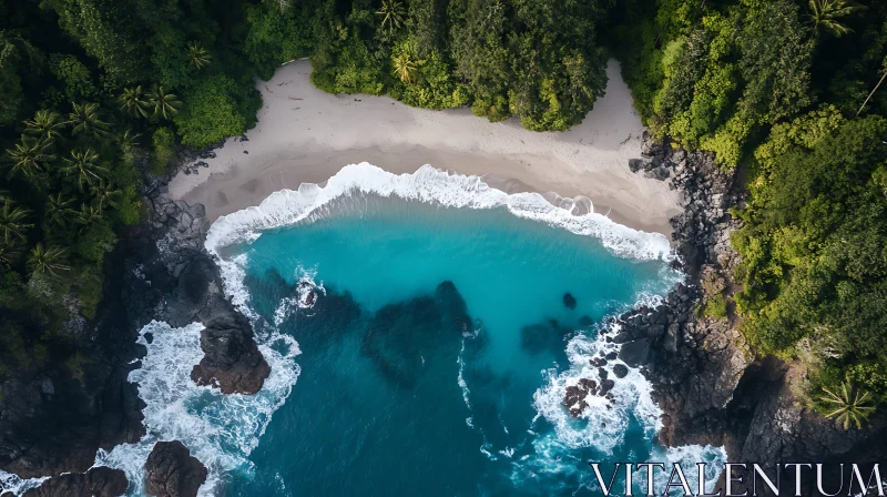 Tropical Island Coastline from Above AI Image