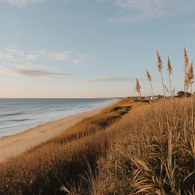 Coastal Serenity: Beach and Sea Grass