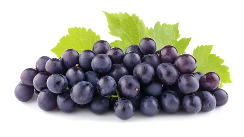 Fresh Ripe Grapes with Green Leaves