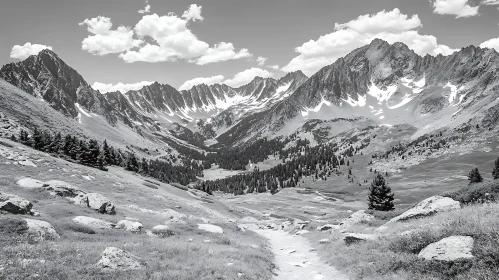 Black and White Mountainous Vista