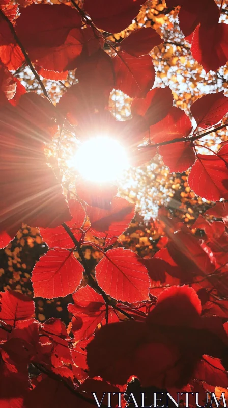 Autumnal Red Leaves with Sunlight AI Image