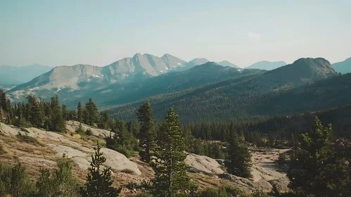 Scenic Mountain Forest Vista