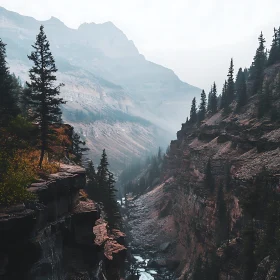 Misty Mountain River Canyon Scene