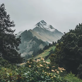Picturesque Mountain View with Green Hills
