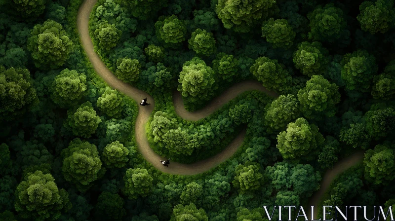 Cycling Through a Serpentine Forest Path AI Image