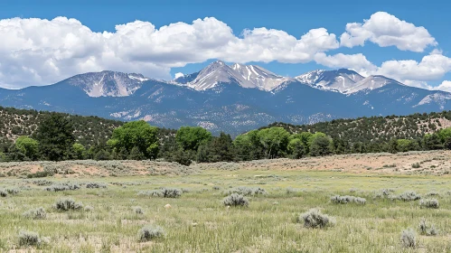 Mountain Range with Green Field