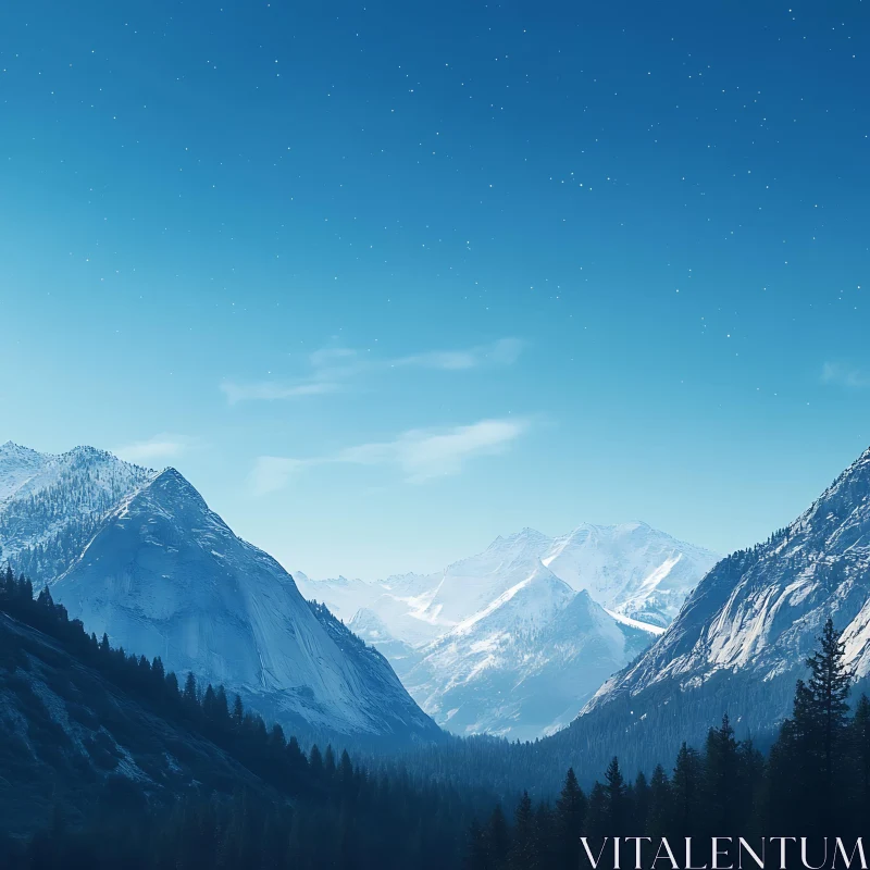 Snowy Mountains and Evergreen Forest View