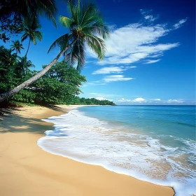 Peaceful Ocean View with Sandy Beach