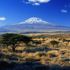 Snowy Peak Overlooking the Savanna