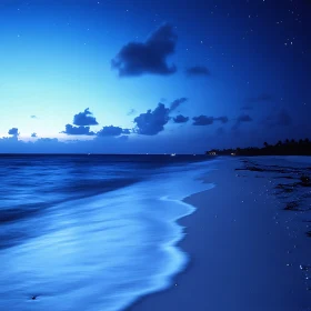 Night Ocean View