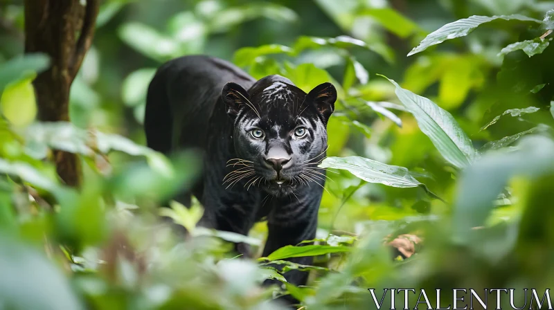 Panther in Greenery AI Image