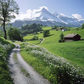 Scenic Mountain Landscape with Flower Path