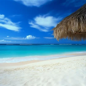 Seaside Bliss: A Tropical Beach Scene