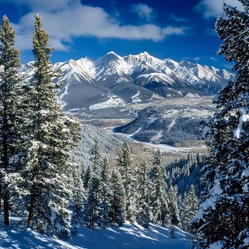 Winter Mountain Scene with Evergreen Trees