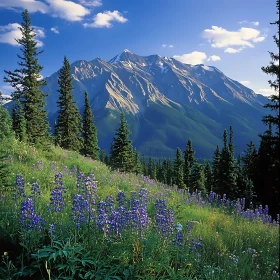 Scenic Mountain Landscape with Flowers