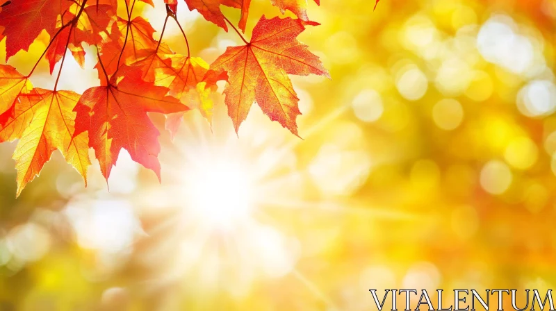 Autumn Foliage in Warm Sunlight AI Image