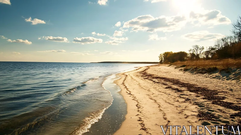 Tranquil Coastal Scene with Sandy Shores and Blue Sea AI Image