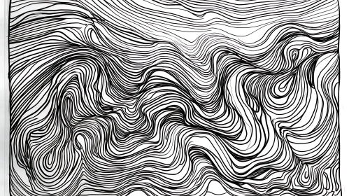 Abstract Line Drawing: Organic Monochrome Design