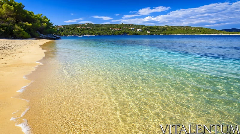 Coastal View of Clear Sea and Sandy Beach AI Image