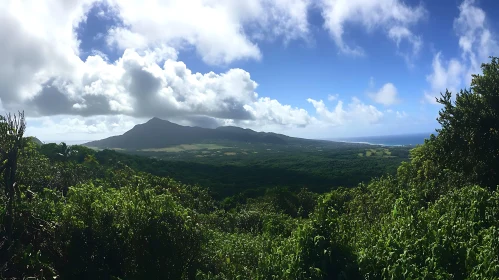 Scenic Mountain View with Green Vegetation