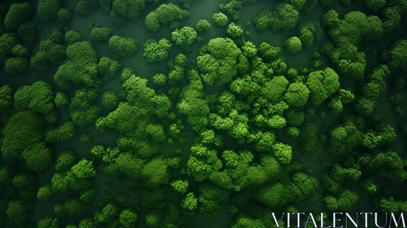 Green Forest Canopy - Aerial View AI Image