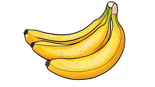 Illustration of Fresh Yellow Bananas