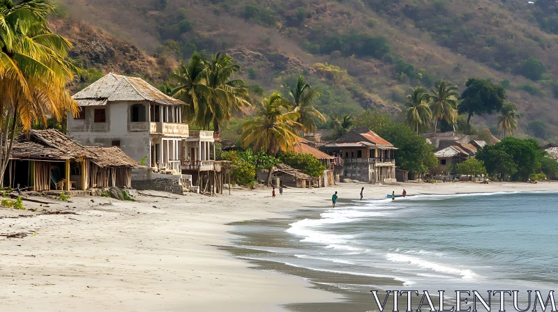 Tropical Beach Houses and Palm Trees