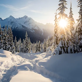 Winter Landscape with Sunlight and Mountains