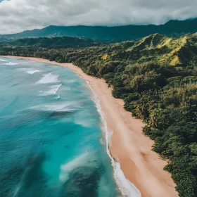 Island Coastline Aerial Perspective