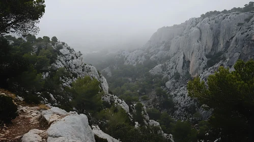 Misty Mountain Landscape