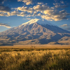 Mountain and Field Landscape