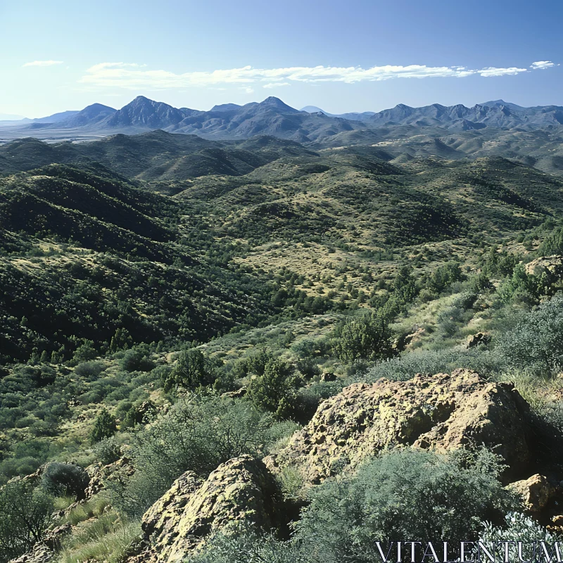 Verdant Hills and Distant Peaks AI Image