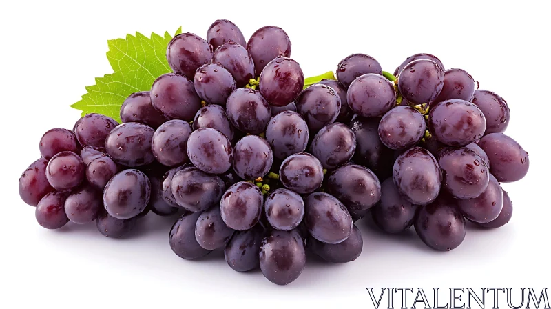 Cluster of Ripe Purple Grapes AI Image