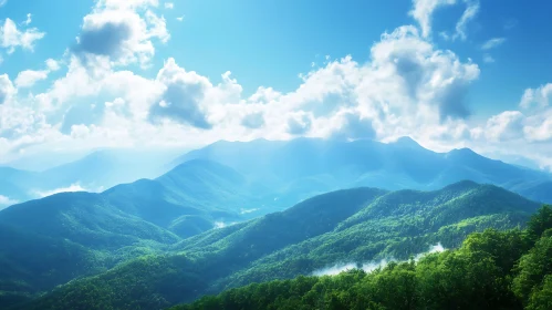 Scenic Mountain Range Forest View